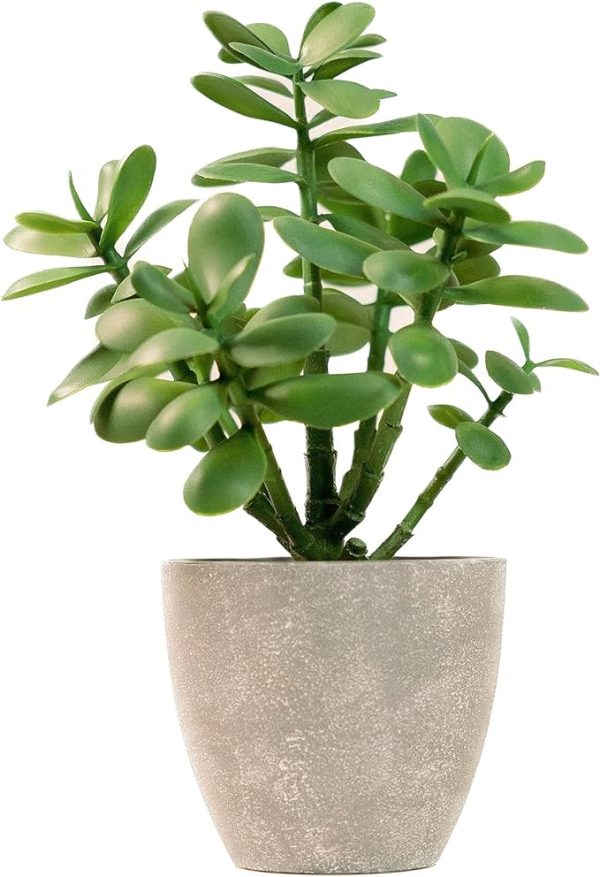 Artificial Potted Jade Plant 12 inch-Luxury Faux Succulent Plant for Home, Office, Book Shelf Decoration, Money Tree, Faux Crassula ovata - Image 5