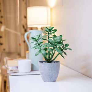 Artificial Potted Jade Plant 12 inch-Luxury Faux Succulent Plant for Home, Office, Book Shelf Decoration, Money Tree, Faux Crassula ovata