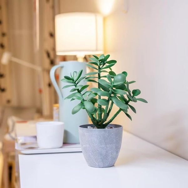 Artificial Potted Jade Plant 12 inch-Luxury Faux Succulent Plant for Home, Office, Book Shelf Decoration, Money Tree, Faux Crassula ovata