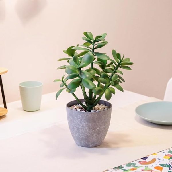 Artificial Potted Jade Plant 12 inch-Luxury Faux Succulent Plant for Home, Office, Book Shelf Decoration, Money Tree, Faux Crassula ovata - Image 2